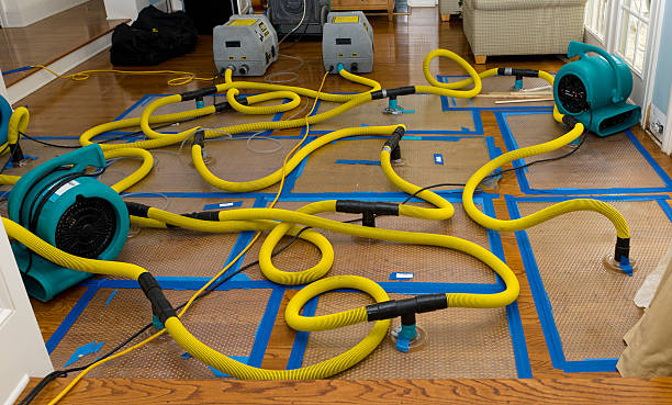 Professional Water Extraction technician working in Weston, OH